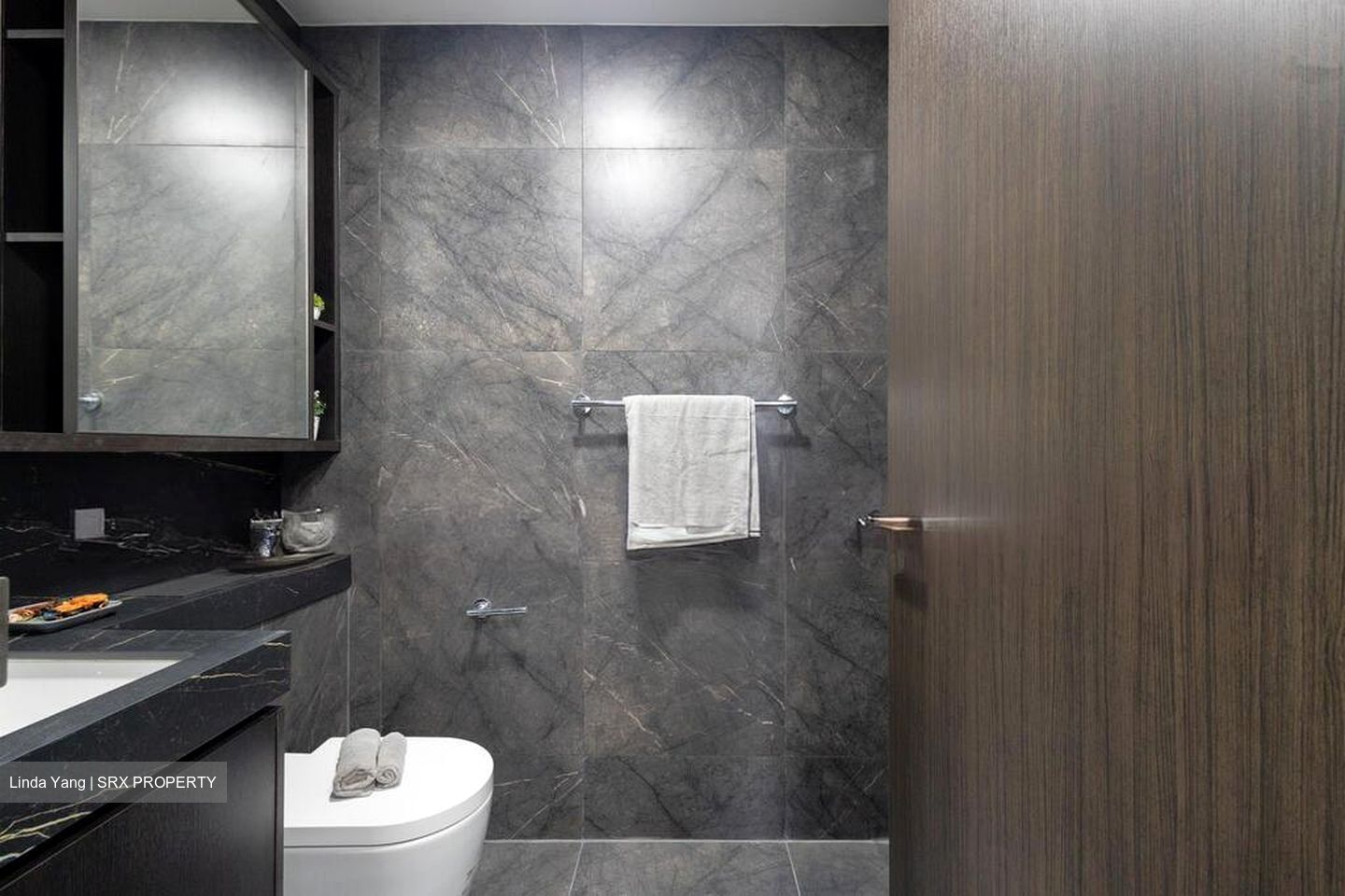Hyll On Holland (D10), Condominium #576975771